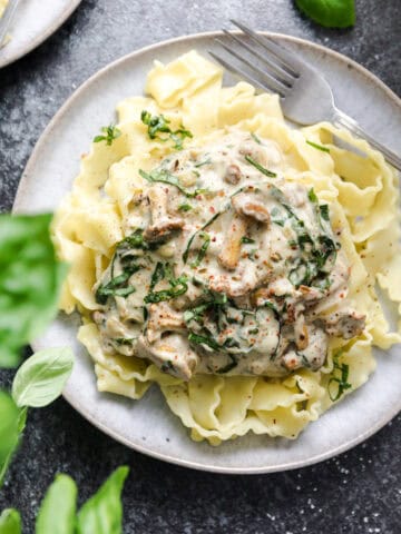 Nudeln mit Pfifferlingen in veganer Sahnesauce